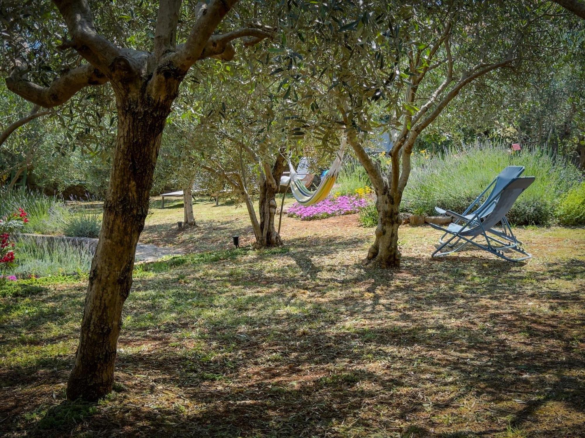 Holiday Home Lavanda Kornic Exterior photo